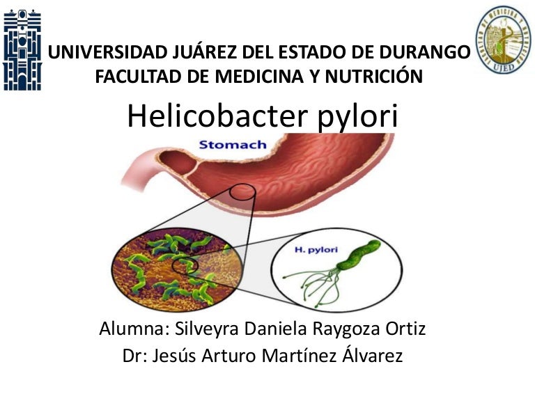 Bacteria elipto bacter pylori tratamiento natural